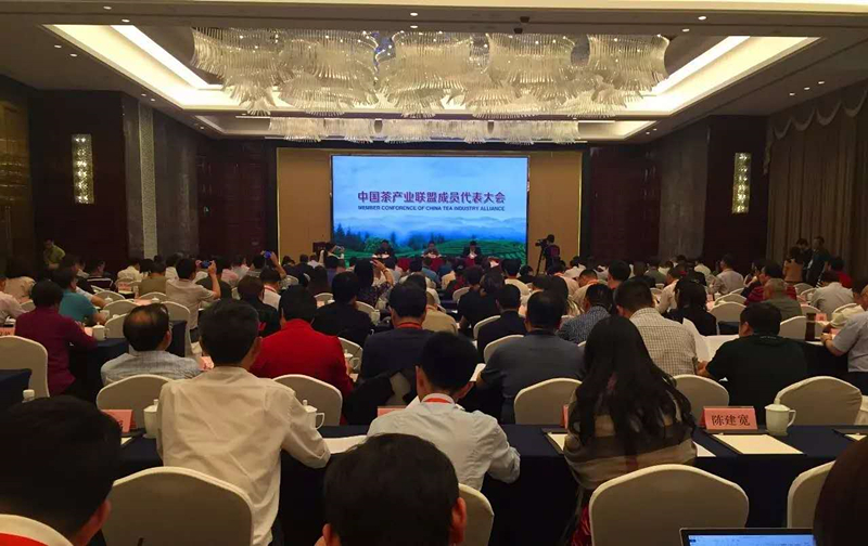 ׽йʲҶϵб֮         ̫tyc7111ccѡйҵ˸³λ