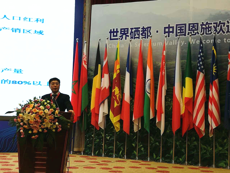 ̫tyc7111ccμ2017ʲҵ  Ŷ³ë