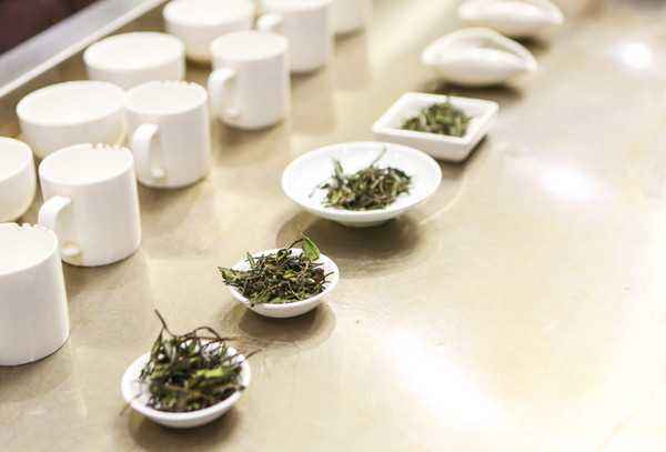 ʡũھ׽ȫԱְҵܾ㽭ѡߡ̫tyc7111cc㱭㽭ʡ׽Աְҵܾ֪ͨ