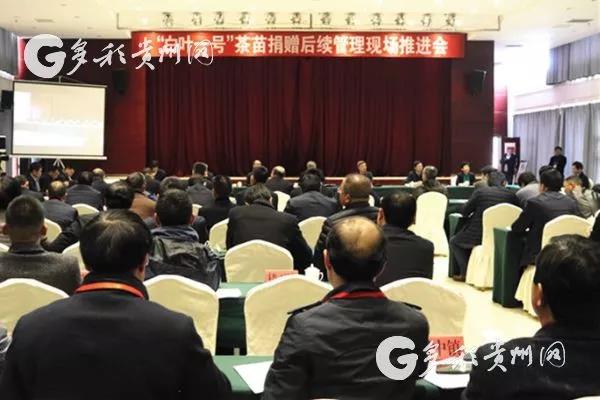 ̫tyc7111ccμӡҶһšֳƽ