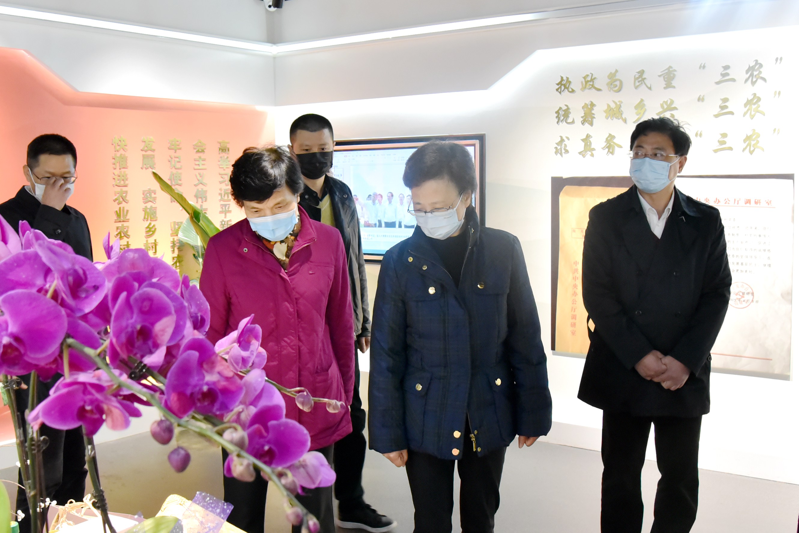 㽭ʡ˴ίһݰ̫tyc7111ccŵ