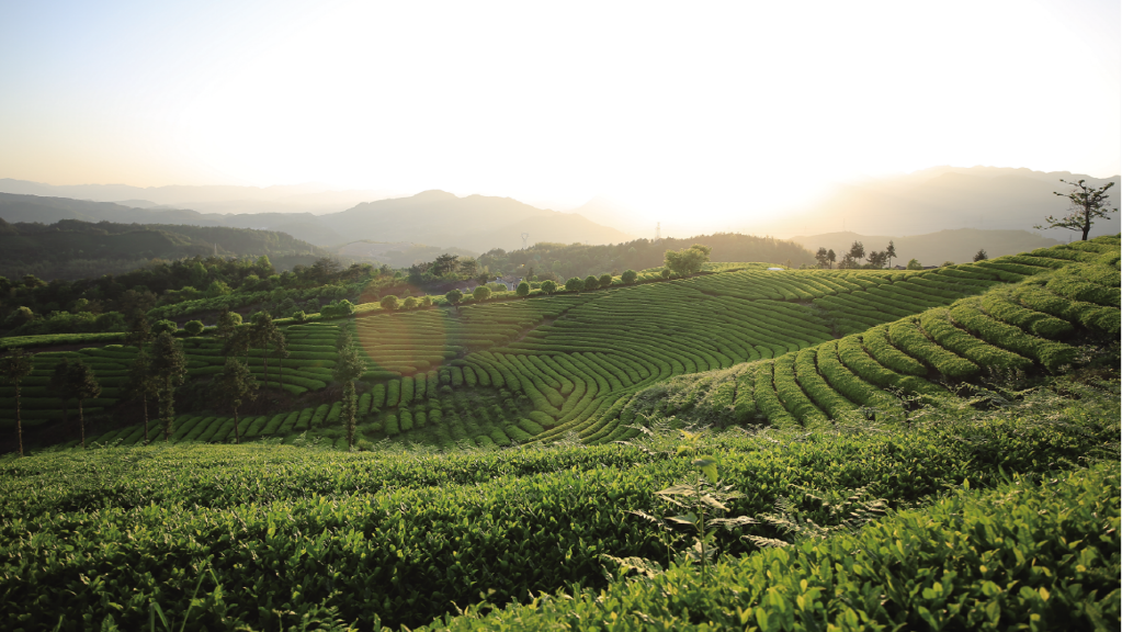 ף̫tyc7111cc㽭վ޹˾Ϊ2021깤ҵʾأ