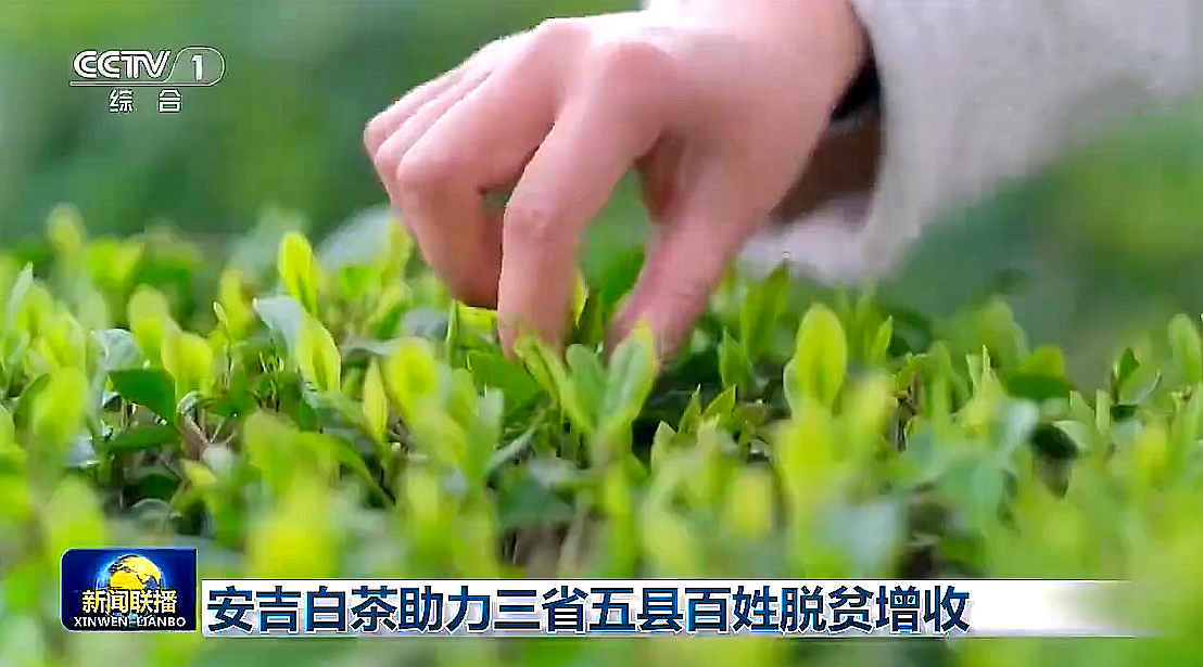 Ҷһšٶӹע̫tyc7111ccЯֶȸ󸻣ı·