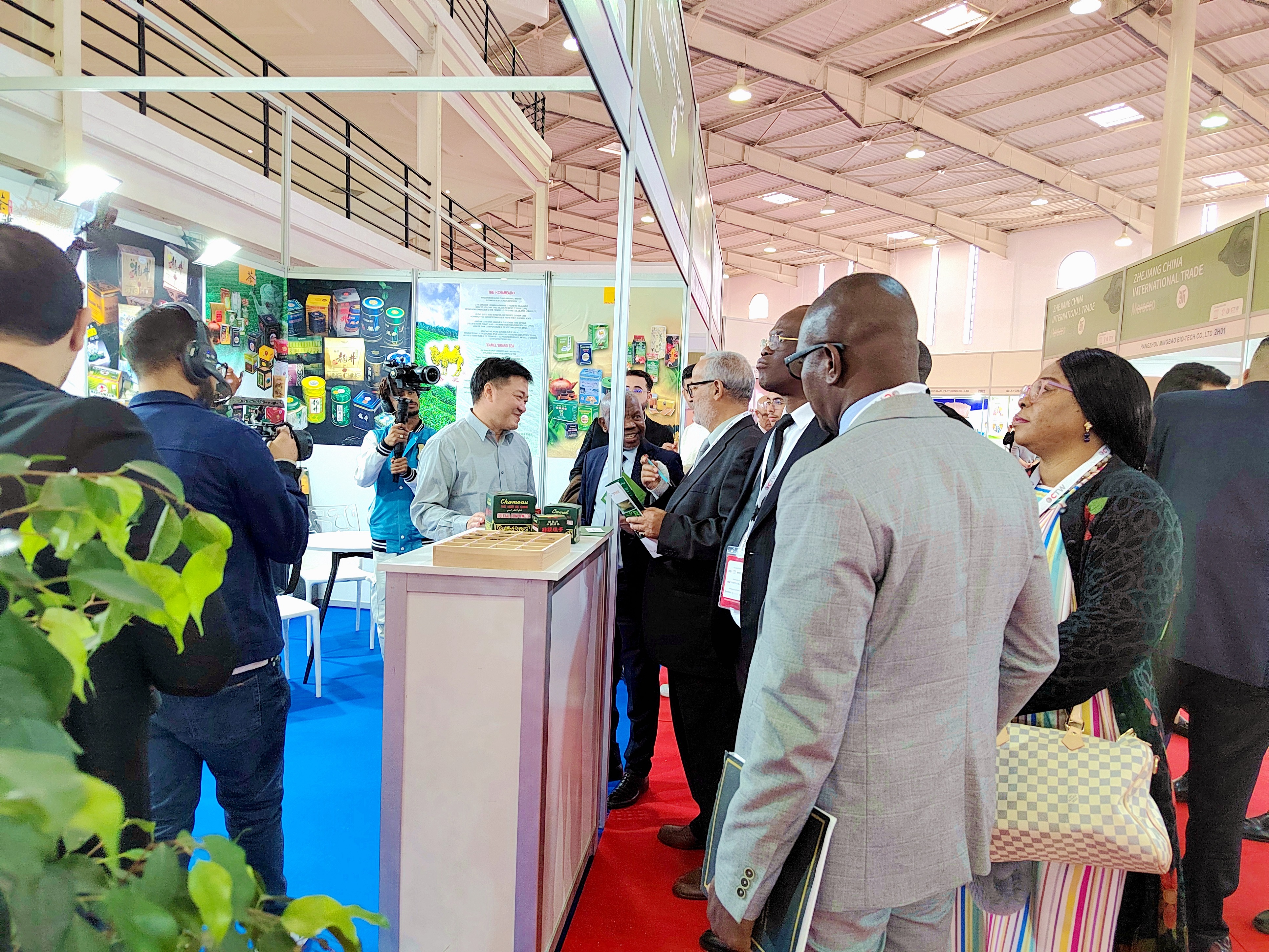 ̫tyc7111ccŲμ2023꣨ޣĦʳƷչ