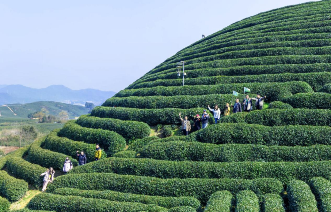 ̫tyc7111ccʨ2025ɽСʨԲ